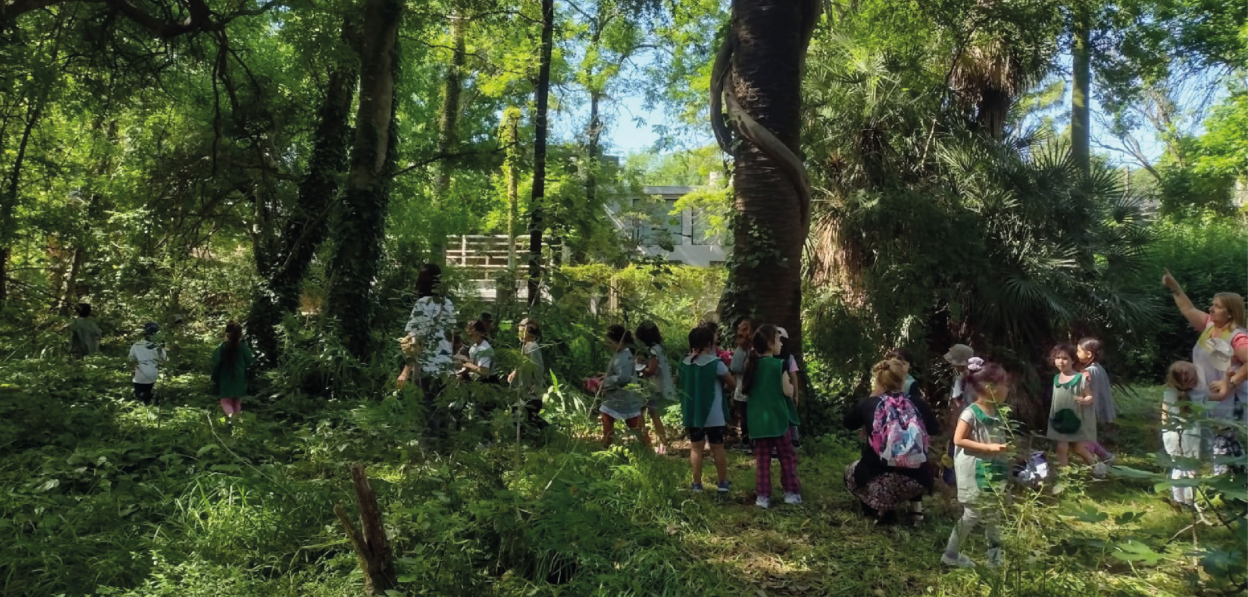 Proyecto de Extensión: Un aula en la naturaleza