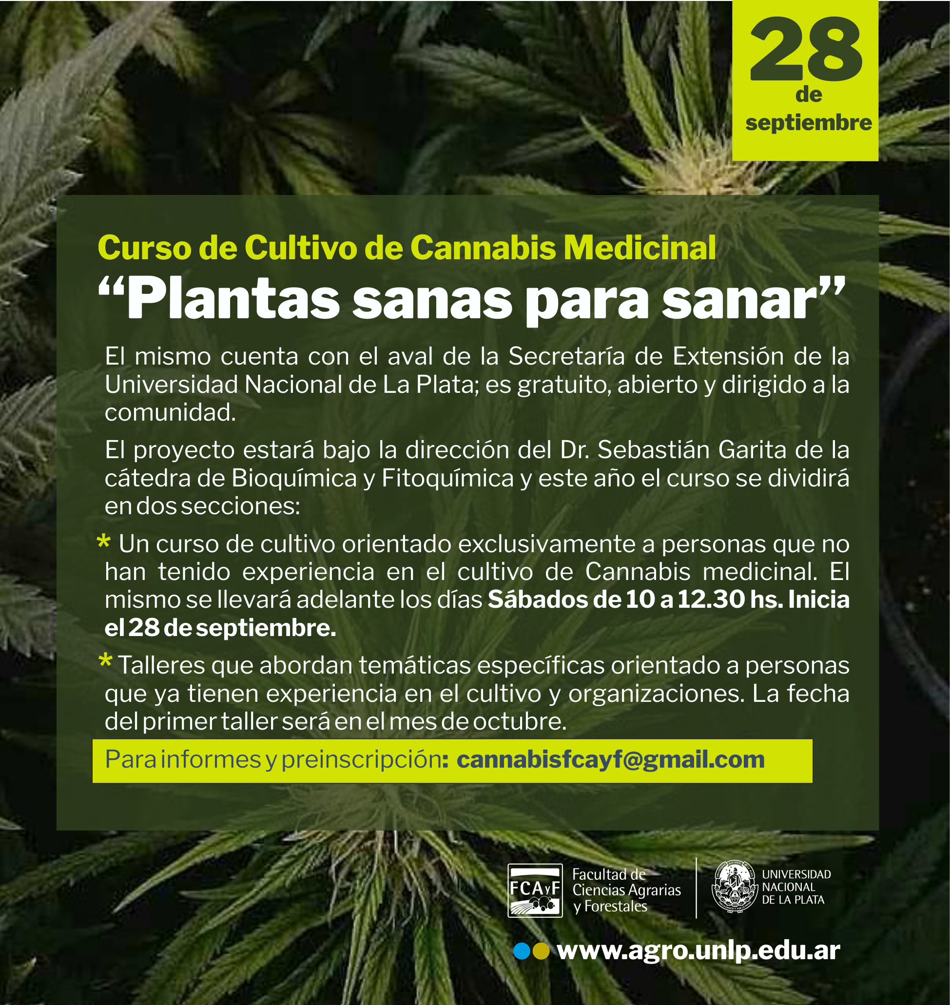 Curso Cannabis Medicinal 2024