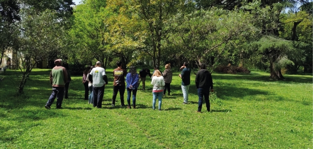 Actividad de extensión: Calidad de agua de riego y sustratos en especies ornamentales