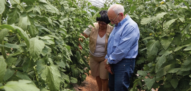 Jornada de Capacitación Hortícola: “Nuevas tecnologías en los modelos de producción y buenas prácticas” 